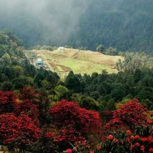 Picturesque Chopta, the Mini Switzerland of Uttarakhand