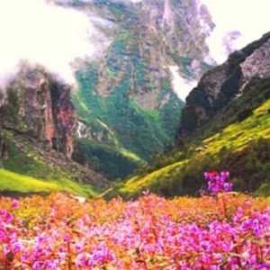 Vale of Flowers to Adorn Chardham Route